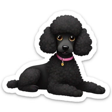 Black poodle relaxing on a carpet sticker
