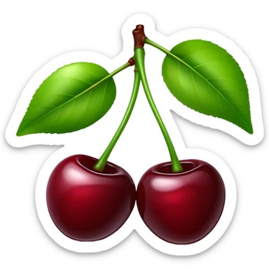 Pair of dark burgundy cherries with green stem, deep rich red color sticker