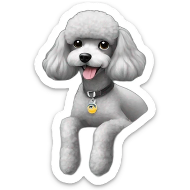 french poodle in an hyundai accent gray  sticker