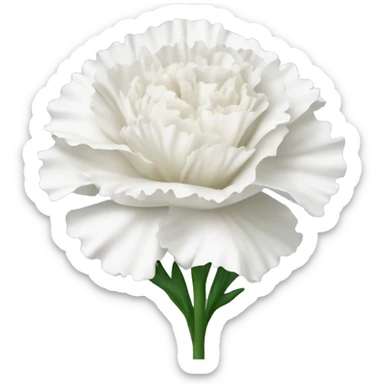 One white carnation flower  sticker