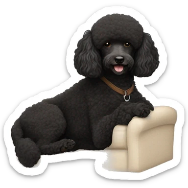 3 legs One Small unshaved Black Poodle with brown harness is  sleeping sticker