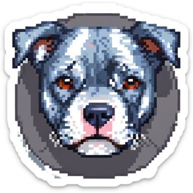 round circle puppy head full grey bleu staffy, stupid expression sticker