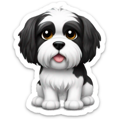 Black white Shitzu with a Rubik’s cube sticker