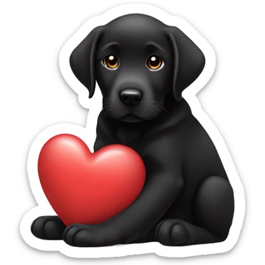 sitting black labrador puppy is holding a heart sticker