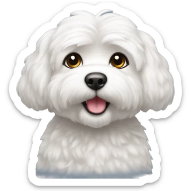 Bichón Maltés  sticker