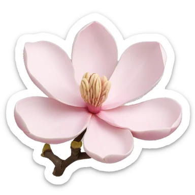 Light pink magnolia flower branch sticker