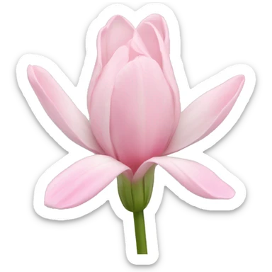 light pink tulpis sticker