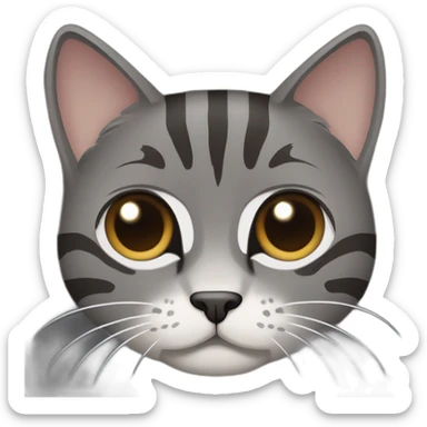 dark gray cat, tabby stripes, brown around black nose, giving an angry face sticker