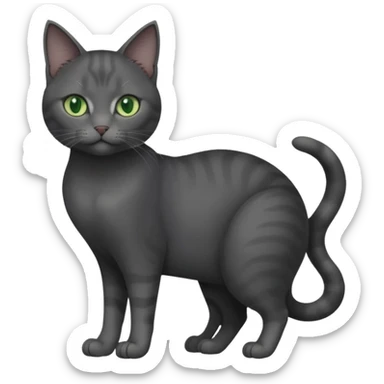 full body view of beautiful female dark grey cat with green eyes, white toes and white patch on chest sticker