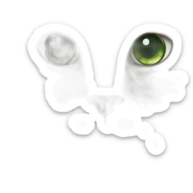 Brown amd white Siberian cat with white face and green eyes sticker