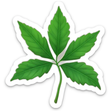 Une feuille d’érable japonais verte sticker