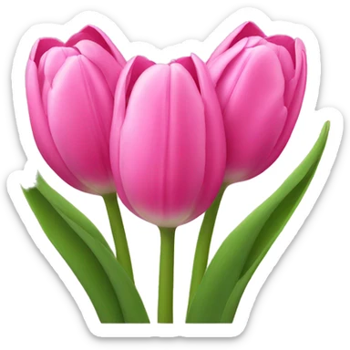 Pink tulips  sticker