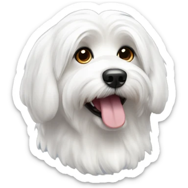 Coton de tulear dog sticker
