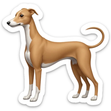 Greyhound sticker