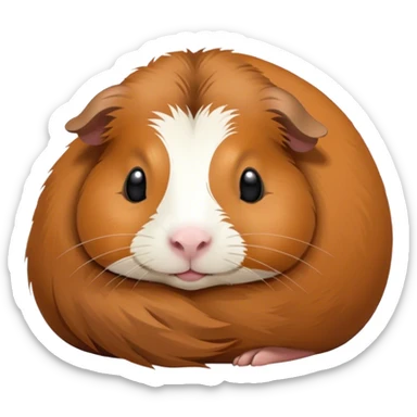 Guinea pig sleeping  sticker