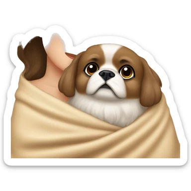 A Women with brown hair is cradling her Pekingese in a beige blanket sticker