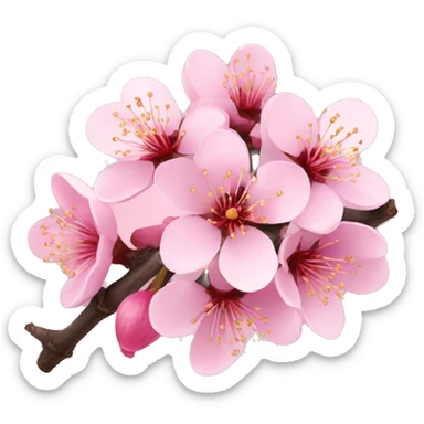 Cherry blossom sticker