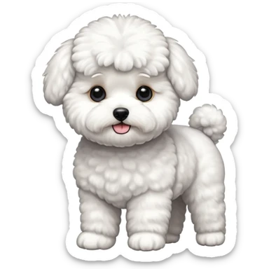 a full body of cute bichon frise sticker