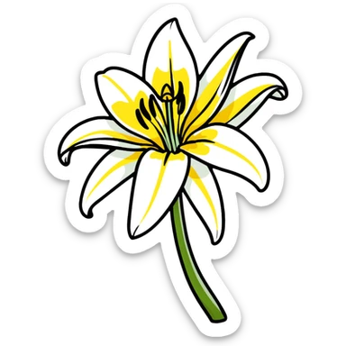 Delicate lily flower with white petals and yellow stamen, decorative design sticker