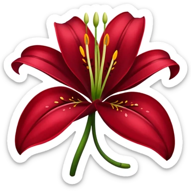 A lily flower in a dark cherry red colour sticker