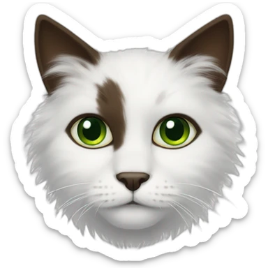 white fluffy bi-colour cat with dark brown ears and upper head, brown ears and green eyes sticker