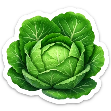 cabbage sticker