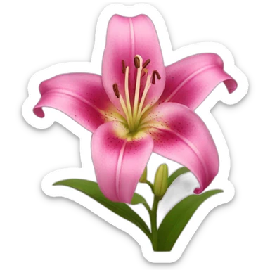 pink lily sticker