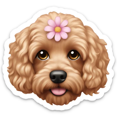  Cavapoo with light pink flower  sticker