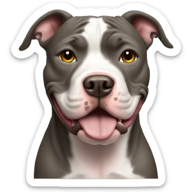 Pitbull sticker