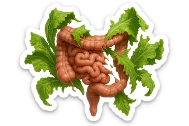 foglie di insalata che attaccano un intestino anatomico umano per distruggerlo, iperrealistico sticker