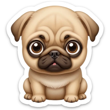 Baby Pug with big eyes, head tilted down, staring at food sticker