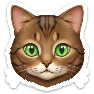 Dark brown tabby cat green eyes pretty face boy 2 years old  sticker