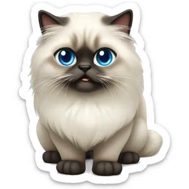 Himalayan cat blue eyes  sticker