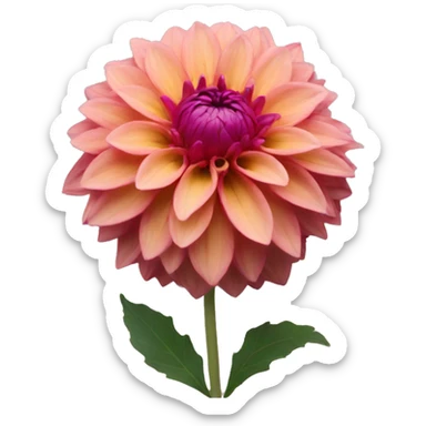 Dahlia sticker
