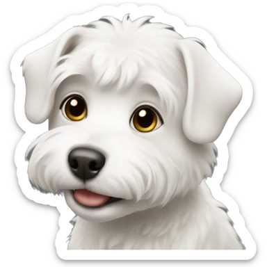 small white dog bishon  sticker