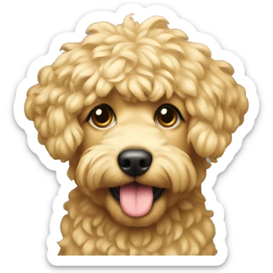Golden matipoo sticker