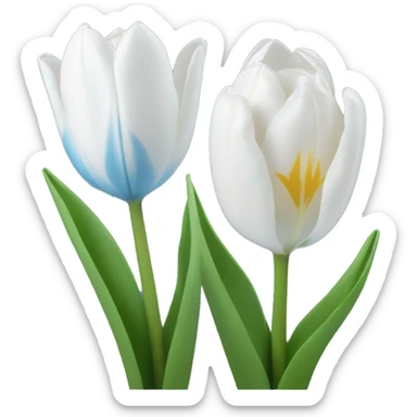 White & light blue tulips sticker