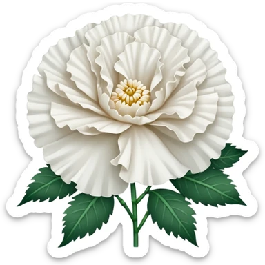 White Carnation flowers in a long line sticker