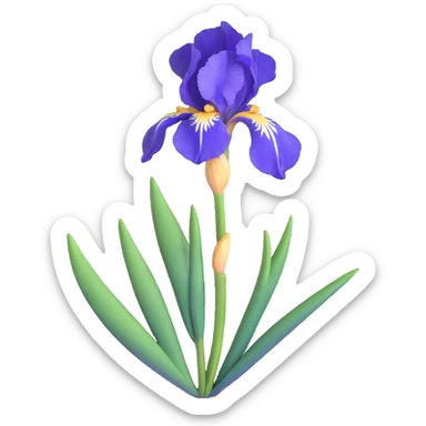 blue flag iris flower sticker