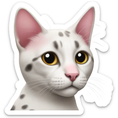 cat with pink nose and black spot on ears sticker