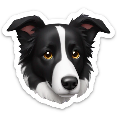 Black border collie with white tip of the left ear sticker