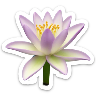Pond lilie sticker