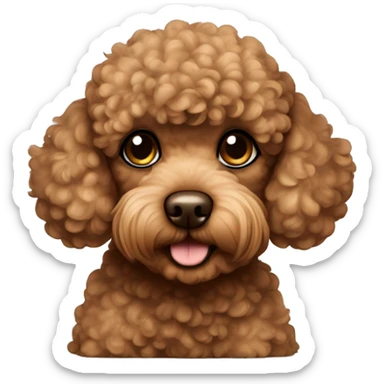 Brown toy poodle laying sticker