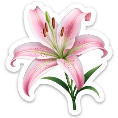 single Bi-Colored Oriental Lily, straight stem sticker