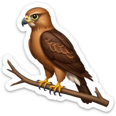Hawk sticker