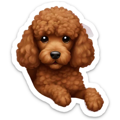Brown Poodle sleeping cuddled with pink blanket sticker