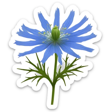 love-in-a-mist flower sticker
