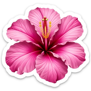 PINK HIBISCUS FLOWER sticker