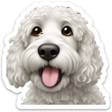 Bernadoodle black with crème white near mouth sticker