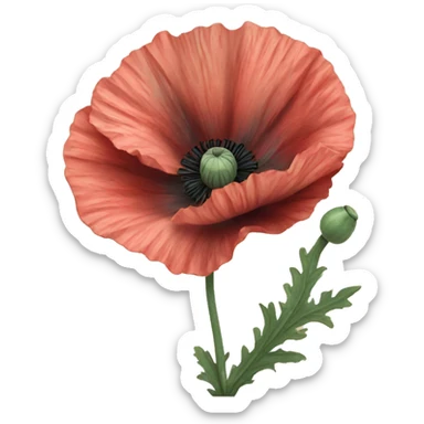 Victorian poppy flowers  sticker